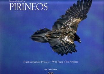 portada Fauna Salvaje de los Pirineos (Gran Formato) (in Spanish)