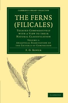 portada The Ferns (Filicales): Volume 1, Analytical Examination of the Criteria of Comparison Paperback (Cambridge Library Collection - Botany and Horticulture) 
