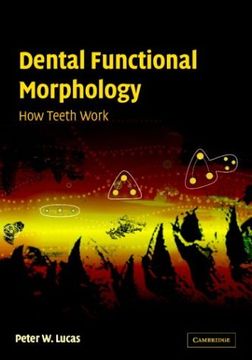 portada Dental Functional Morphology Hardback: How Teeth Work (Cambridge Studies in Biological & Evolutionary Anthropology) (en Inglés)