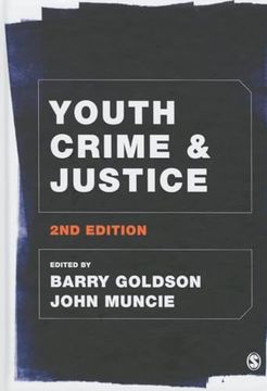 portada Youth Crime and Justice (en Inglés)