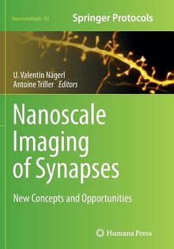 portada Nanoscale Imaging of Synapses: New Concepts and Opportunities (en Inglés)