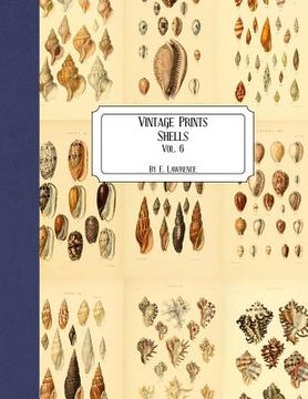 portada Vintage Prints: Shells: Vol. 6 (en Inglés)