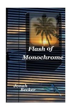 portada Flash of Monochrome (in English)
