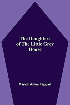 portada The Daughters of the Little Grey House 