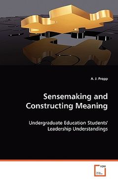 portada sensemaking and construction meaning