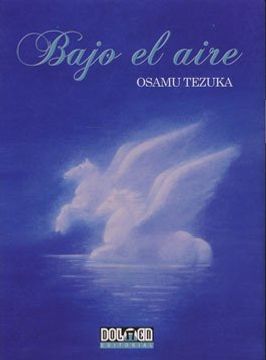portada Bajo el Aire (in Spanish)