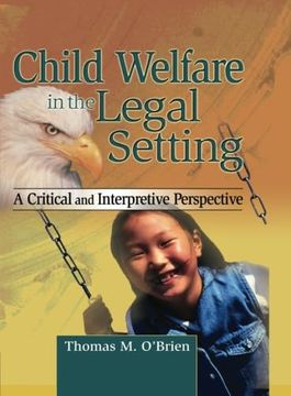 portada Child Welfare in the Legal Setting (in English)