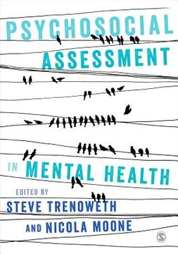 Psychosocial Assessment in Mental Health (en Inglés)