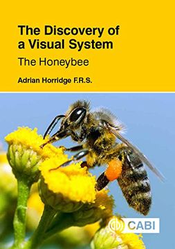 portada The Discovery of a Visual System - The Honeybee