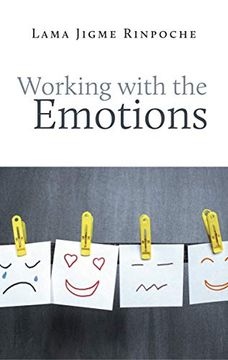 portada Working With the Emotions (en Inglés)