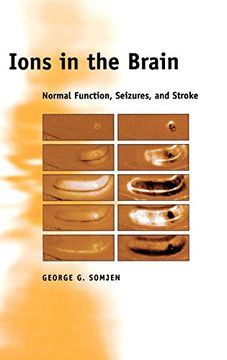 portada Ions in the Brain: Normal Function, Seizures, and Stroke (en Inglés)