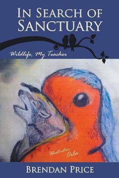 portada In Search of Sanctuary: Wildlife, my Teacher