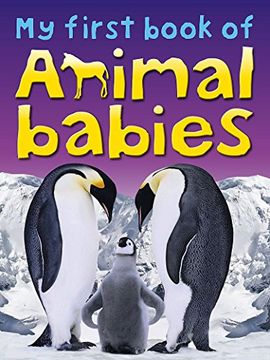 portada My First Book of Animal Babies 