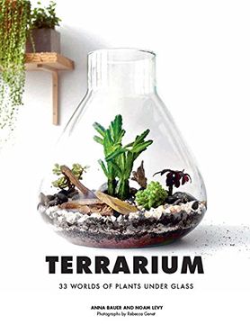 portada Terrarium: 33 Glass Gardens to Make Your Own (en Inglés)
