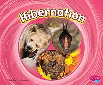 portada Hibernation (Cycles of Nature) (en Inglés)
