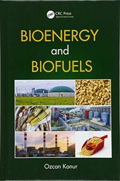 portada Bioenergy and Biofuels
