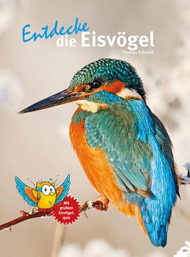 portada Entdecke die Eisvögel: Mit Großem Eisvogelquiz (Entdecke - die Reihe mit der Eule: Kindersachbuchreihe) (en Alemán)