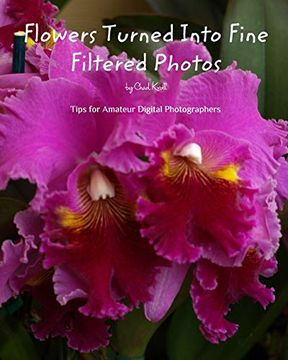 portada Flowers Turned Into Fine Filtered Photos (en Inglés)