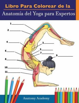 portada Libro Para Colorear de la Anatomía del Yoga Para Expertos: 50+ Ejercicios de Colores con Posturas de Yoga Para Principiantes | el Regalo Perfecto Para Instructores de Yoga, Maestros y Aficionados (in Spanish)