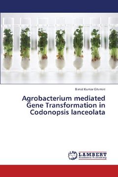 portada Agrobacterium Mediated Gene Transformation in Codonopsis Lanceolata