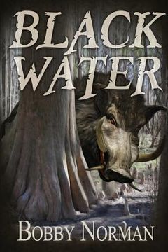 portada Black Water (in English)
