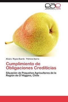 portada cumplimiento de obligaciones crediticias (in English)