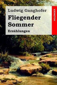 portada Fliegender Sommer: Erzählungen (en Alemán)