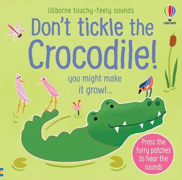 portada Don't Tickle the Crocodile! (Touchy-Feely Sound Books) (in English)