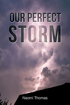 portada Our Perfect Storm (en Inglés)