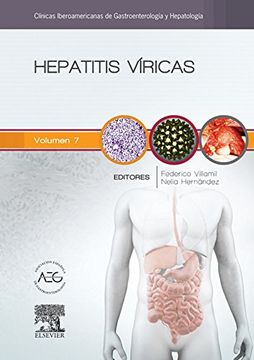 portada Hepatitis víricas: Clínicas Iberoamericanas de Gastroenterología y Hepatología vol. 7 (Spanish Edition)