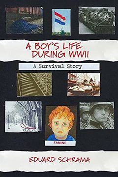 portada A Boy's Life During Wwii. A Survival Story (en Inglés)