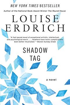 portada Shadow Tag: A Novel (P. Sh ) (in English)