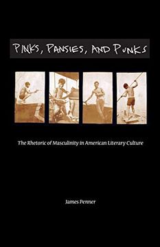 portada Pinks, Pansies, and Punks: The Rhetoric of Masculinity in American Literary Culture 