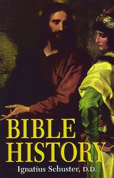 portada bible history: (en Inglés)