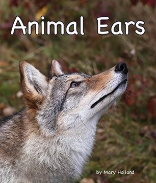 portada Animal Ears