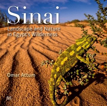 portada Sinai: Landscape and Nature in Egyptas Wilderness (en Inglés)