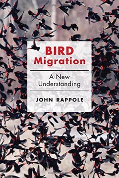 portada Bird Migration: A new Understanding (in English)