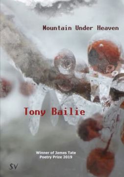 portada Mountain Under Heaven (en Inglés)