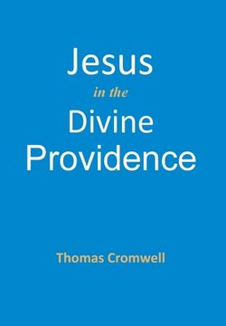 portada Jesus in the Divine Providence (en Inglés)