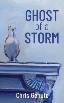 portada Ghost of a Storm (en Inglés)