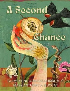 portada A Second Chance (en Inglés)
