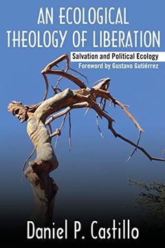 portada An Ecological Theology of Liberation: Salvation and Political Ecology (Ecology and Justice) (en Inglés)