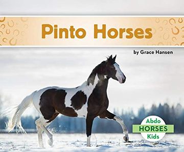 portada Pinto Horses 