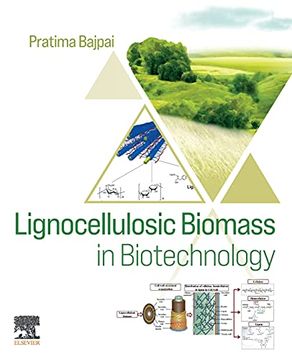 portada Lignocellulosic Biomass in Biotechnology 
