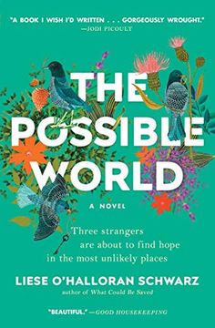 portada The Possible World (in English)
