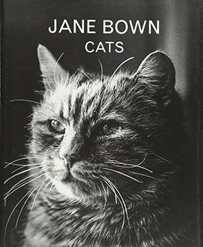 portada Jane Bown: Cats (en Inglés)