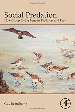 portada Social Predation: How Group Living Benefits Predators and Prey