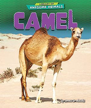 portada Camel (Library of Awesome Animals) (en Inglés)