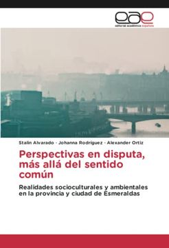 portada Perspectivas en Disputa, más Allá del Sentido Común: Realidades Socioculturales y Ambientales en la Provincia y Ciudad de Esmeraldas