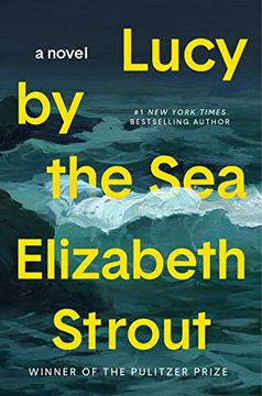 portada Lucy by the Sea: A Novel (en Inglés)